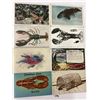 Image 1 : Lobster Postcards 25