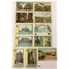 Image 2 : Misc. USA Exposition Postcards 80+