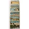 Image 6 : Misc. USA Exposition Postcards 80+
