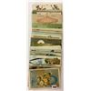 Image 6 : Easter Holiday Greeting Postcards 40
