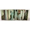 Image 3 : Pennsylvania Amusement Park Postcards 16