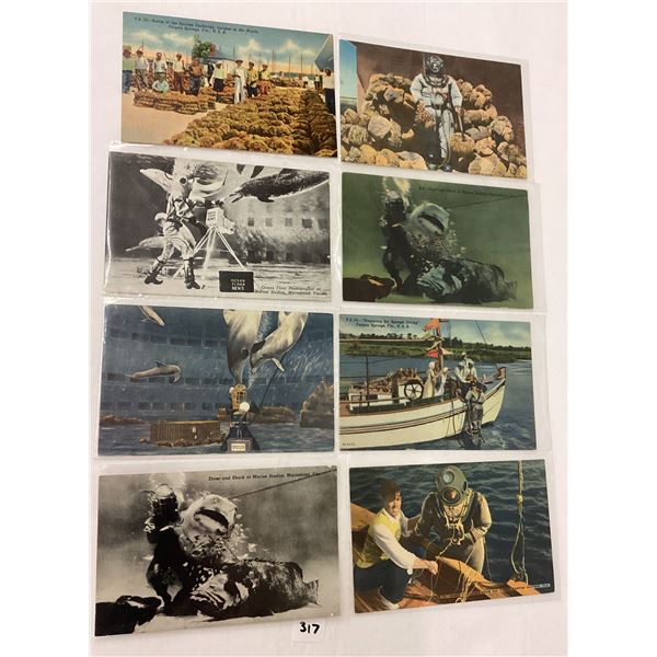 Sponge Diver Postcards 21
