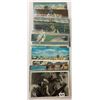 Image 4 : Sponge Diver Postcards 21
