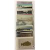 Image 5 : Crabs, Clams, Oysters & Related Postcards 35