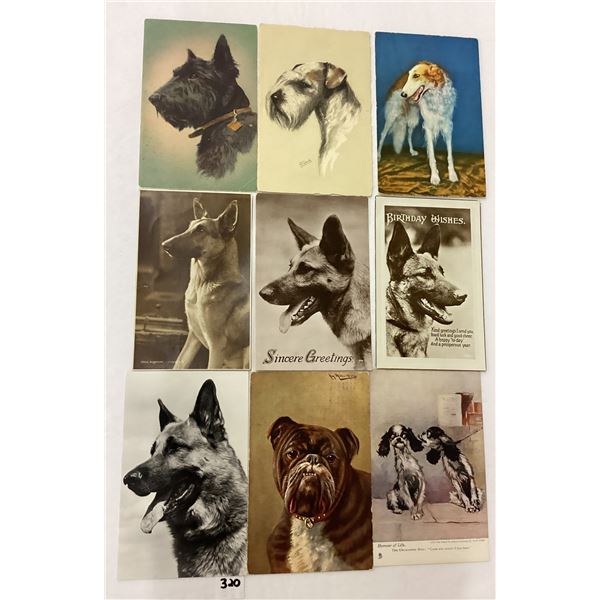 Animals - Dogs Approx. 50