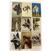 Image 1 : Animals - Dogs Approx. 50