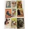 Image 3 : Animals - Dogs Approx. 50