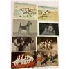 Image 4 : Animals - Dogs Approx. 50