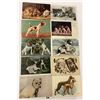 Image 5 : Animals - Dogs Approx. 50