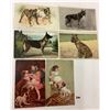 Image 6 : Animals - Dogs Approx. 50