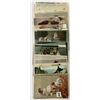 Image 7 : Animals - Dogs Approx. 50