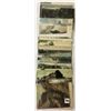 Image 4 : USA Rotograph View Postcards 50+