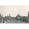 Image 8 : 1913 Presidential Inauguration Day Parade Ottenheimer Washington DC Postcards 12
