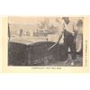 Image 3 : Bonus Army Washington D.C. Postcards 14