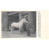 Image 7 : Baltimore, Maryland Fire Related Postcards 10