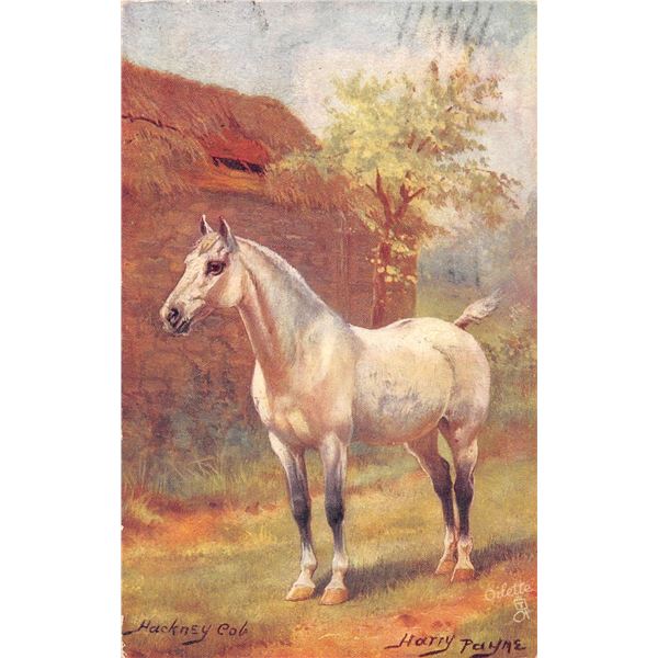 Tuck Signed Artist Payne Horses Postcards 8
