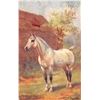 Image 1 : Tuck Signed Artist Payne Horses Postcards 8