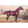 Image 7 : Tuck Signed Artist Payne Horses Postcards 8