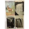 Image 1 : Africa Postcards 40+