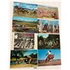Image 1 : Cowboy, Western & Related Postcards 18