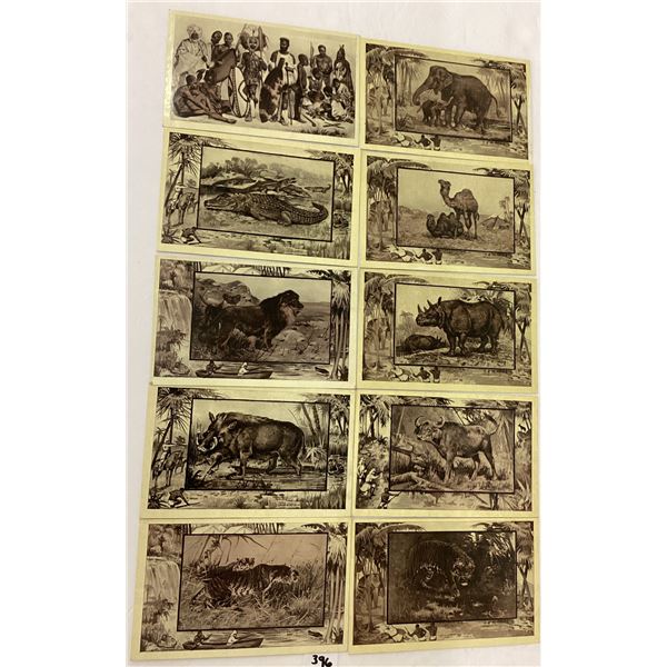 African Animals Series by MJ Mintz, Chicago 1909 25 Postcards