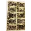 Image 1 : African Animals Series by MJ Mintz, Chicago 1909 25 Postcards