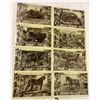 Image 2 : African Animals Series by MJ Mintz, Chicago 1909 25 Postcards