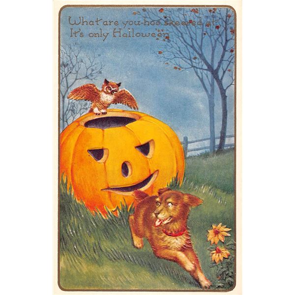 Whitney Halloween Holiday Greeting Dog, Owl & Jack O Lantern Postcard