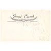 Image 2 : Whitney Halloween Holiday Greeting Dog, Owl & Jack O Lantern Postcard