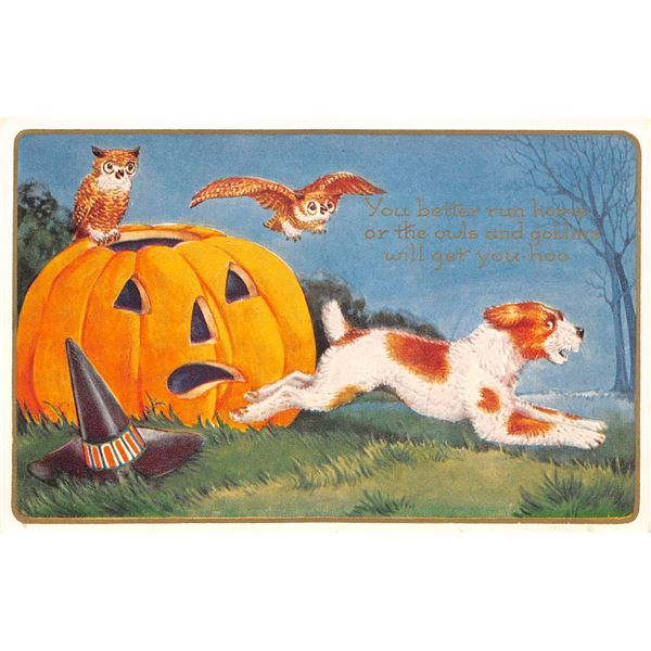 Whitney Halloween Holiday Greeting Dog, Owls, Jack O Lantern Postcard