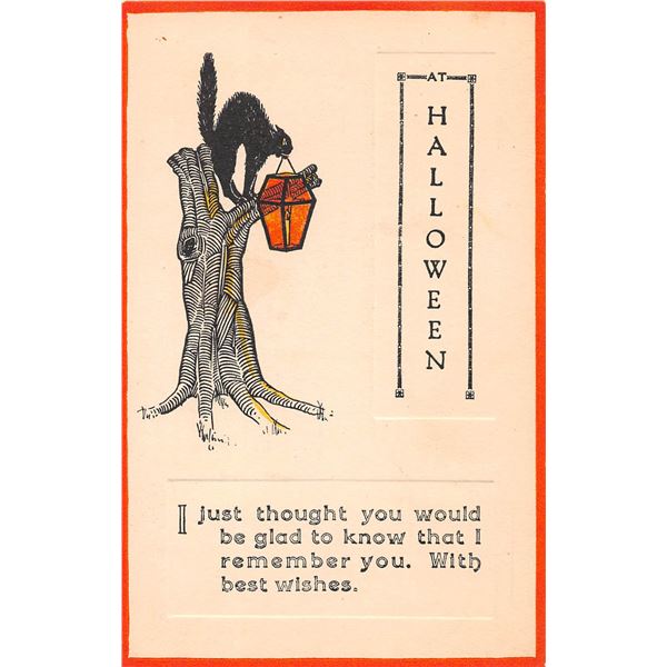 Pink Perfection Halloween Holiday Greeting Black Cat & Lantern Postcard