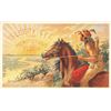 Image 9 : Group of 9 American Indian "Sleepy Eye" Advertising Postcards