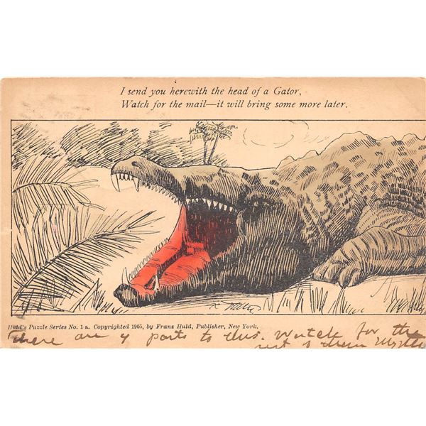 Alligator Installment set 4 Postcards