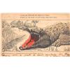 Image 1 : Alligator Installment set 4 Postcards