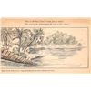 Image 4 : Alligator Installment set 4 Postcards