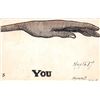 Image 3 : The Fish Story Installment Set 3 Postcards
