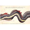 Image 2 : Dragon Installment Set of 4 Postcards