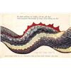 Image 3 : Dragon Installment Set of 4 Postcards