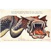 Image 4 : Dragon Installment Set of 4 Postcards