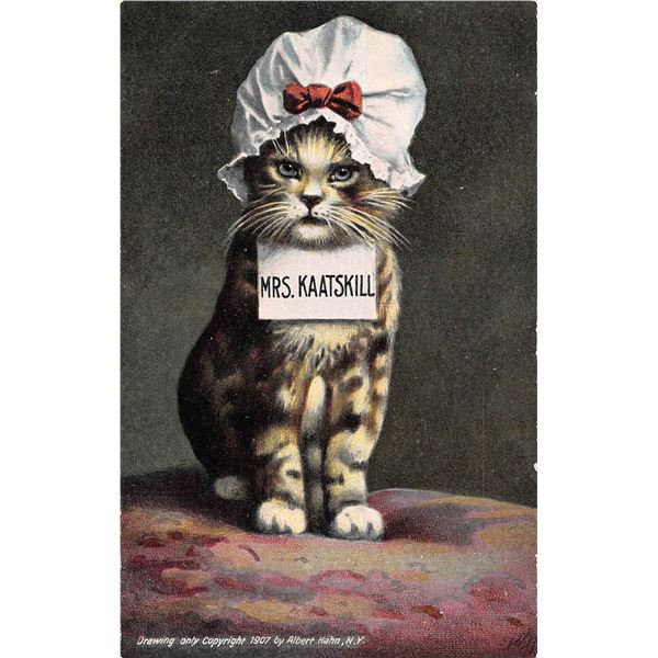 Mr. & Mrs. Kaatskill Cat Greeting Postcards 2
