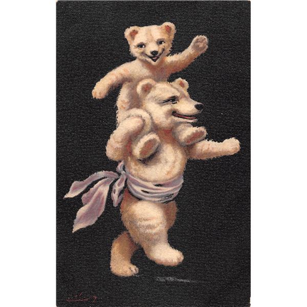 Set of 6 Black Background Teddy Bear Postcards