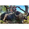 Image 1 : Mynyati Safaris - Female Buffalo Hunt