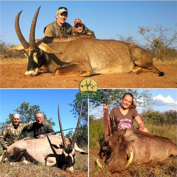 Tally-Ho All Inclusive - Impala / Blue Wildebeest / Zebra