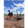 Image 2 : Mapu Hunting Lodge 4 Day / 5 Night Argentina Hunting Package