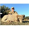 Image 3 : Mapu Hunting Lodge 4 Day / 5 Night Argentina Hunting Package