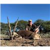 Image 4 : Mapu Hunting Lodge 4 Day / 5 Night Argentina Hunting Package