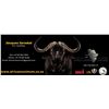 Image 1 : Africa Maximum Safaris - 8 Day Kudu / Nyala / Bushbuck