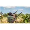Image 2 : Norte Hunters - Argentina Dove Hunt - 6 Hunts!!