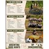 Image 1 : HP Wingshooting - Argentina Bird Hunt!