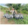 Image 5 : HP Wingshooting - Argentina Bird Hunt!